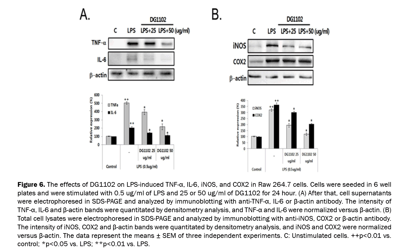 Pharmaceutical-Sciences-The-effects-DG1102-LPS-induced-TNF