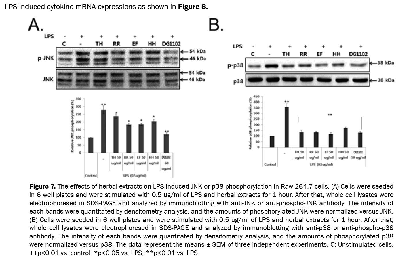 Pharmaceutical-Sciences-effects-herbal-extracts-LPS-induced-JNK-p38-phosphorylation