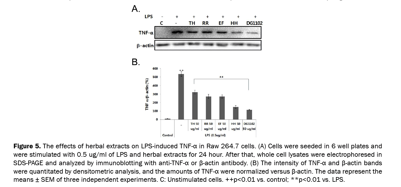 Pharmaceutical-Sciences-effects-herbal-extracts-LPS-induced-TNF