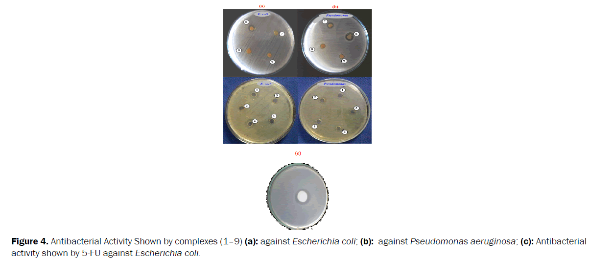 Pharmaceutics-Nanotechnology-Antibacterial-Activity-complexes