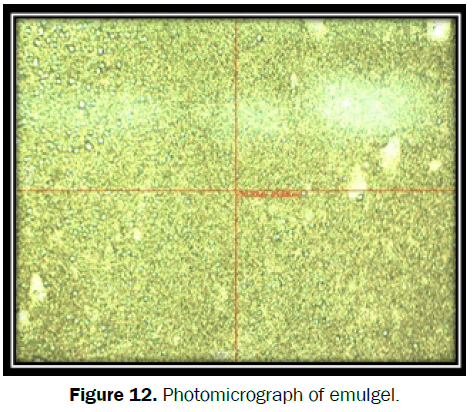 Pharmaceutics-Nanotechnology-Photomicrograph-emulgel