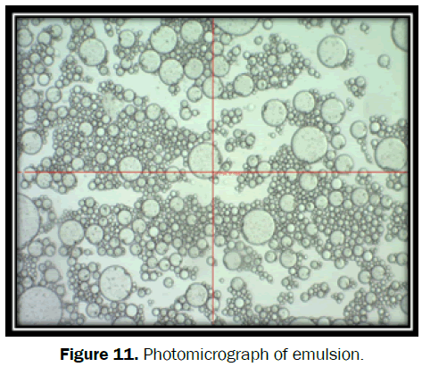 Pharmaceutics-Nanotechnology-Photomicrograph-emulsion