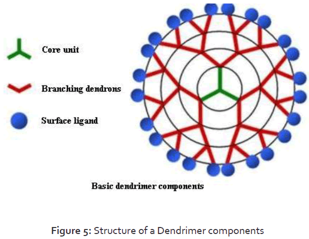 Pharmaceutics-Nanotechnology-Structure-Dendrimer-components