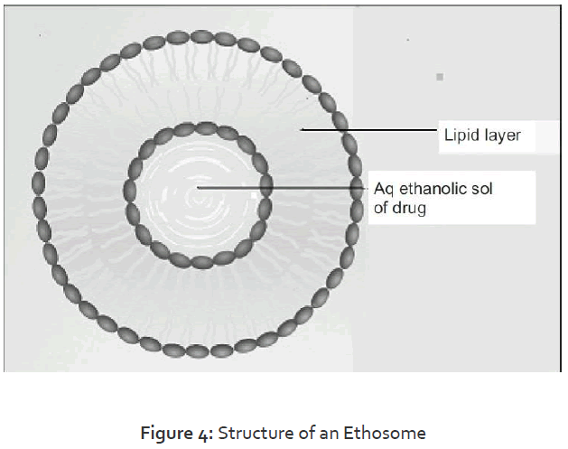 Pharmaceutics-Nanotechnology-Structure-Ethosome