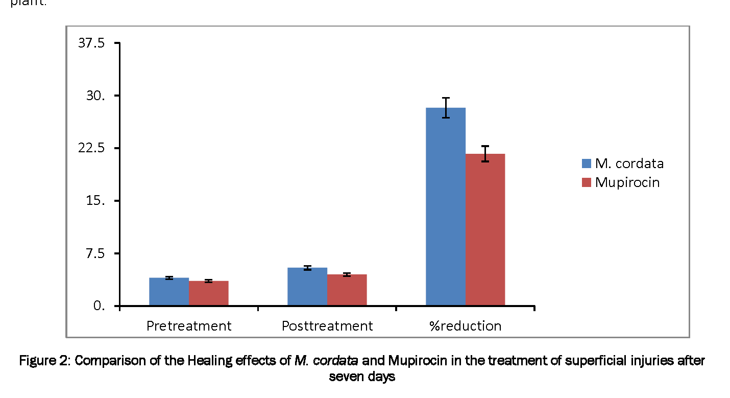 Pharmacognsoy-Phytochemistry-Comparison-Healing-effects-M-cordata-and-Mupirocin-treatment