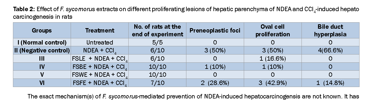 Pharmacognsoy-Phytochemistry-Effect-F-sycomorus-extracts-different-proliferating-lesions-hepatic-parenchyma
