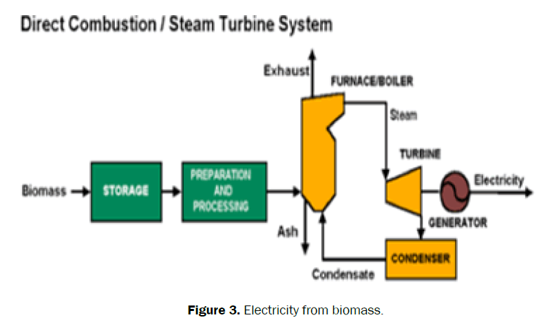 agriculture-allied-sciences-Electricity-biomass