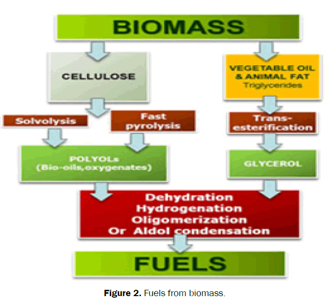 agriculture-allied-sciences-Fuels-biomass