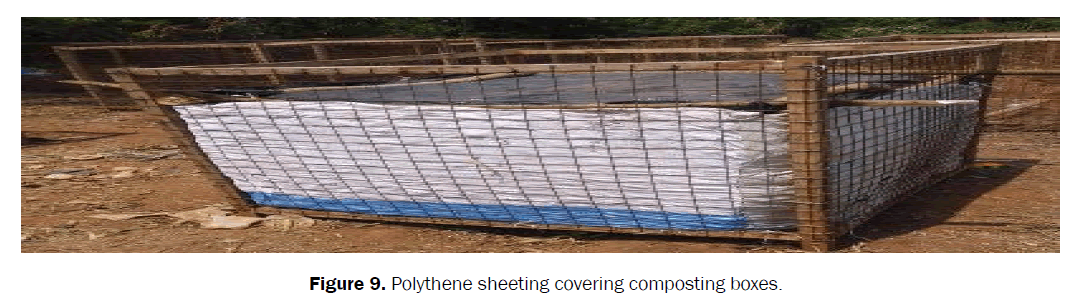 agriculture-allied-sciences-Polythene-sheeting