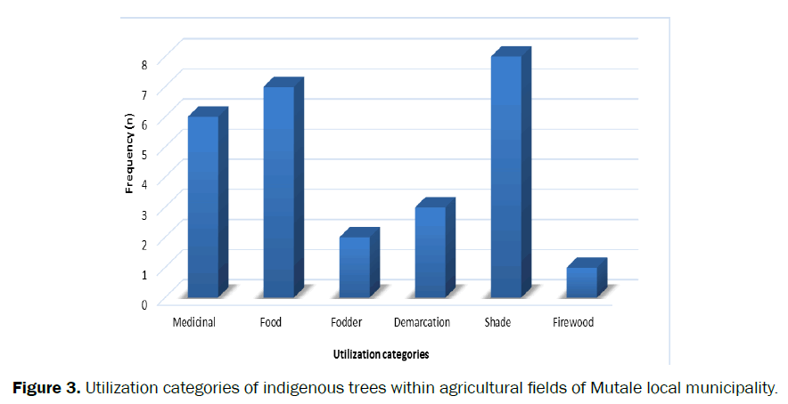 agriculture-allied-sciences-agricultural-fields