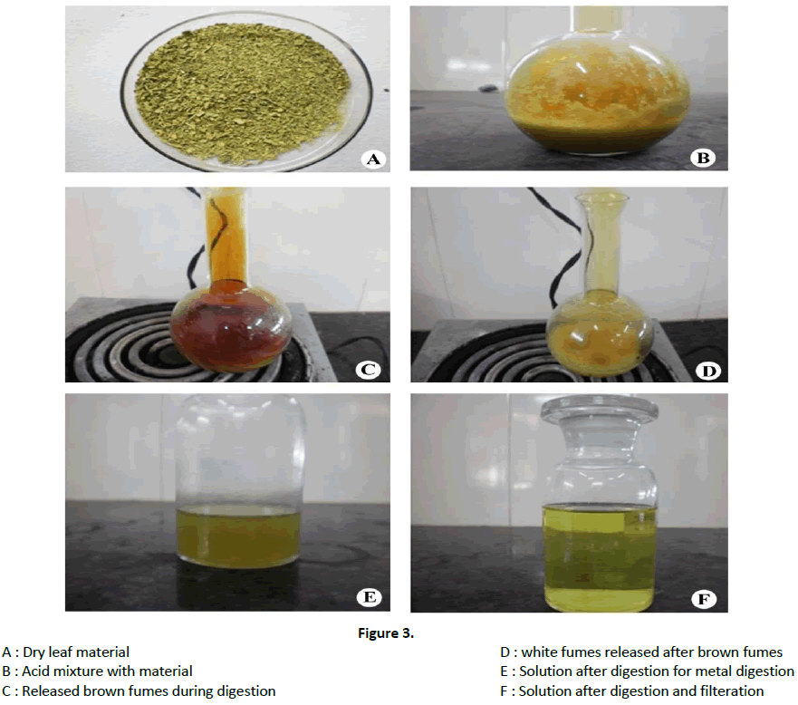 agriculture-allied-sciences-leaf