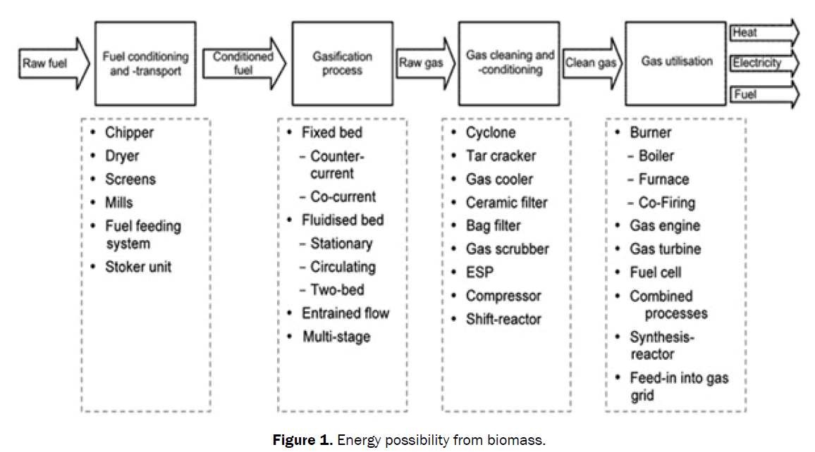 agriculture-allied-sciences-possibility-biomass