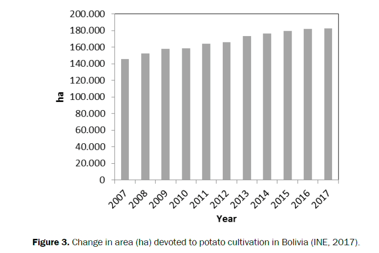 agriculture-allied-sciences-potato-cultivation