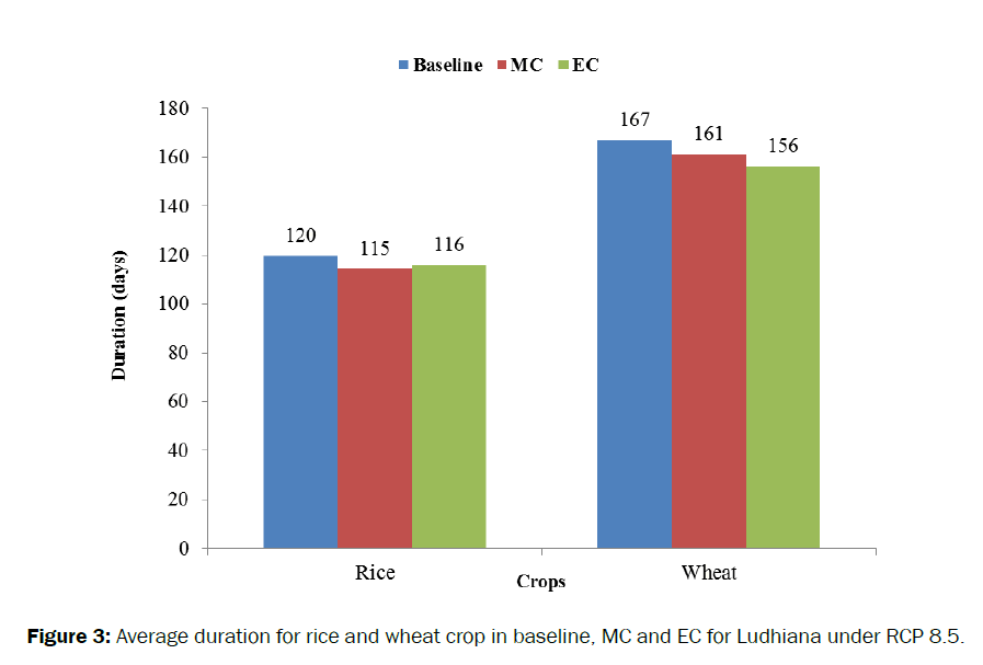 agriculture-allied-sciences-wheat-crop