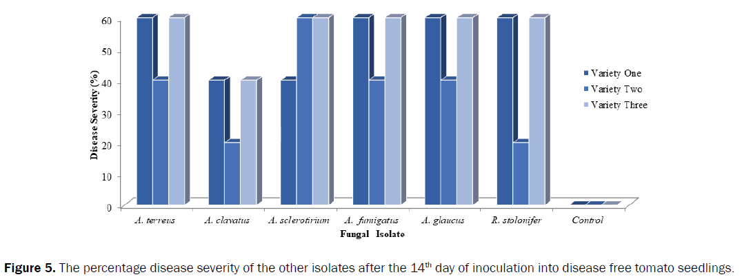 agriculture-and-allied-sciences-disease-severity