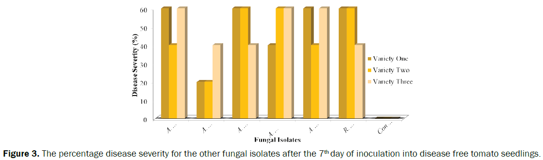 agriculture-and-allied-sciences-fungal-isolates