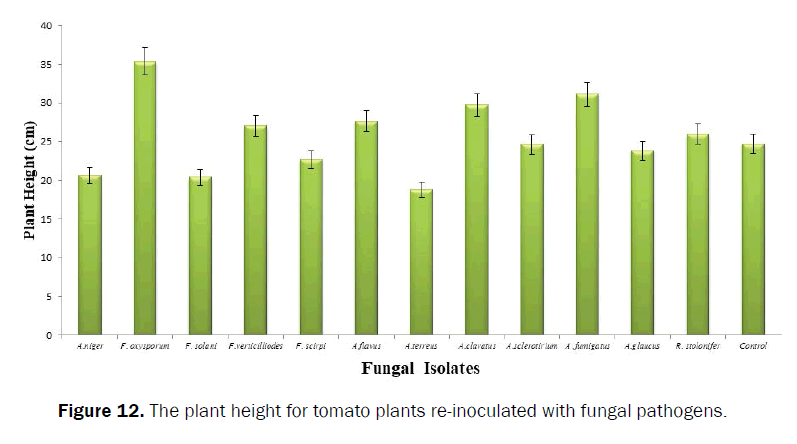 agriculture-and-allied-sciences-fungal-pathogens