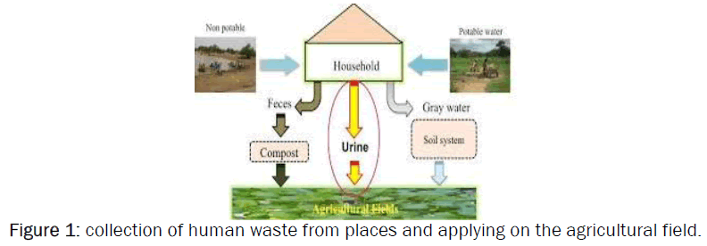 agriculture-and-allied-sciences-human-waste