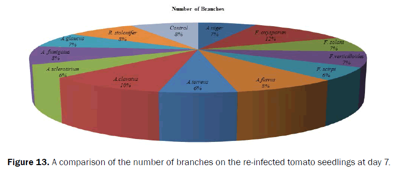 agriculture-and-allied-sciences-re-infected