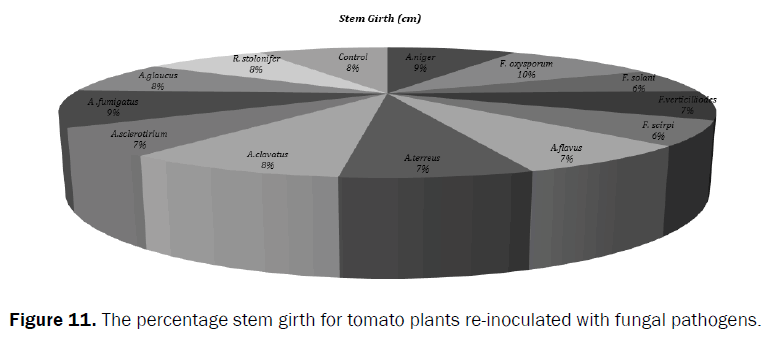 agriculture-and-allied-sciences-stem-girth