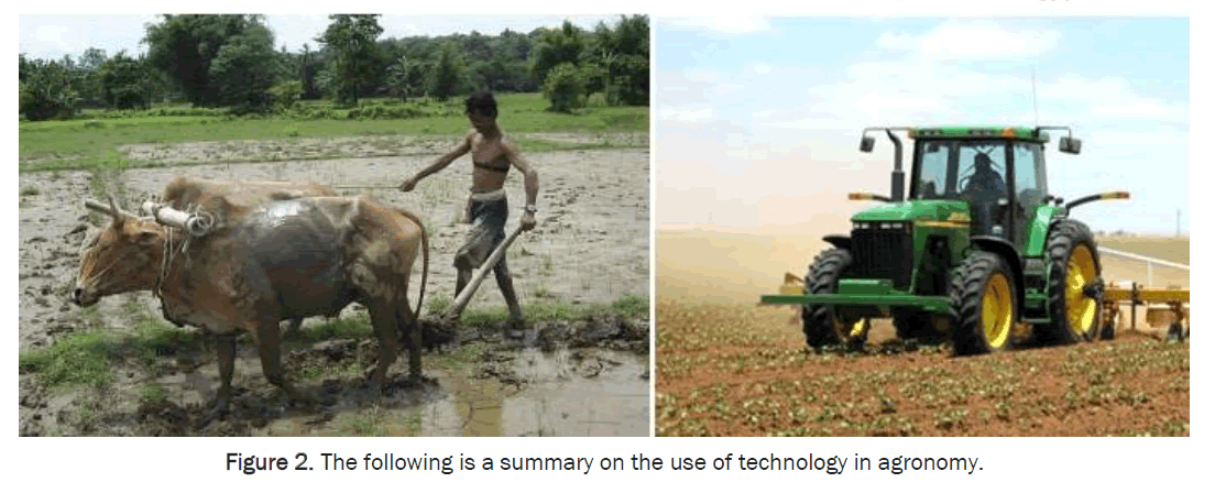 agriculture-and-allied-sciences-technology-agronomy
