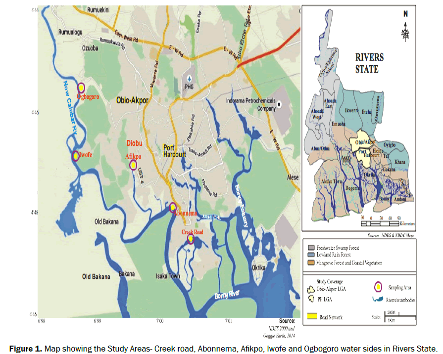 biology-Areas-Creek