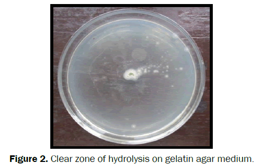 biology-Clear-zone