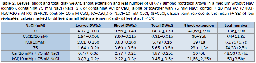 biology-Leaves-shoot-total-dray