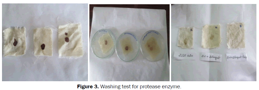 biology-Washing-test