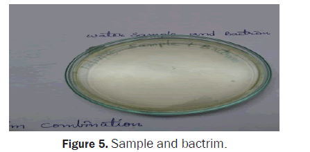 biology-bactrim