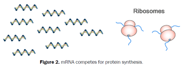 biology-competes-for