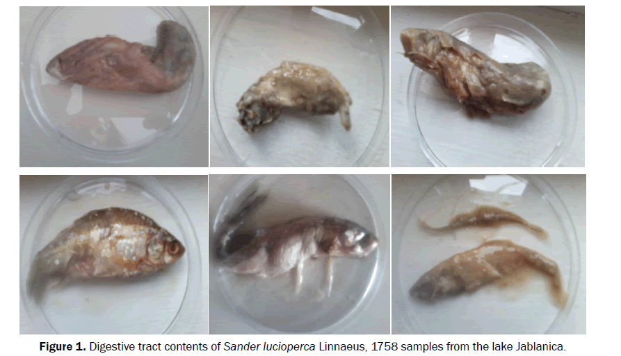 biology-contents