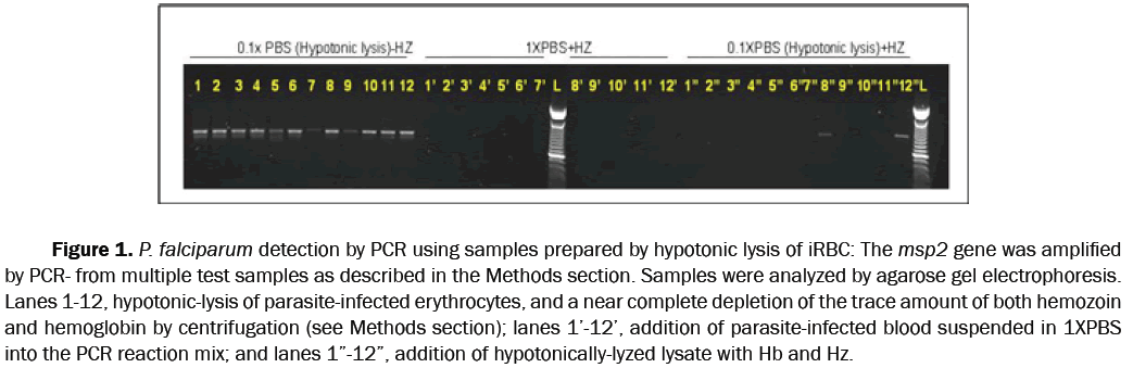 biology-detection