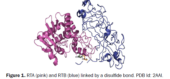 biology-disulfide