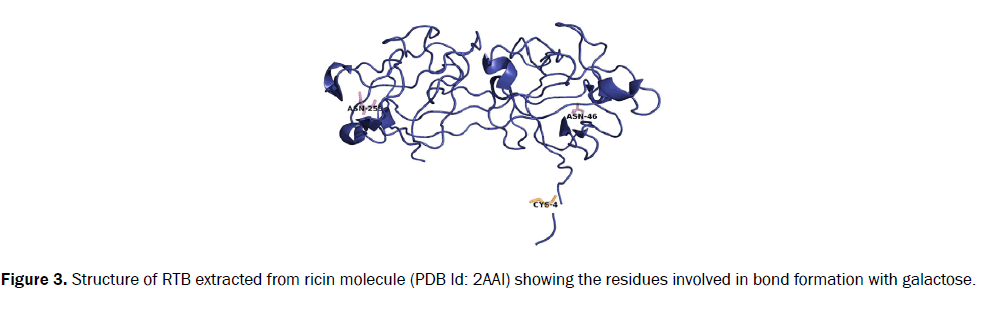 biology-formation