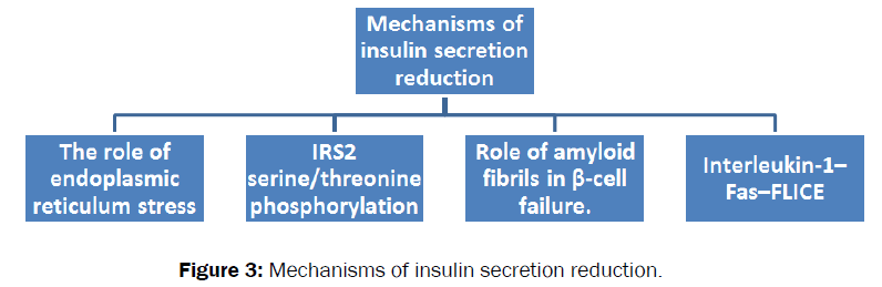 biology-insulin