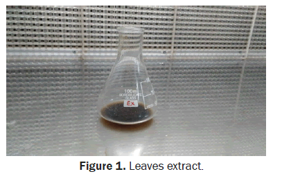 biology-leaves-extract