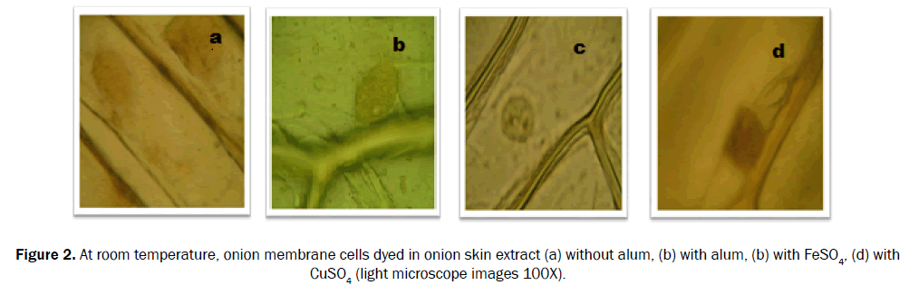 biology-membrane