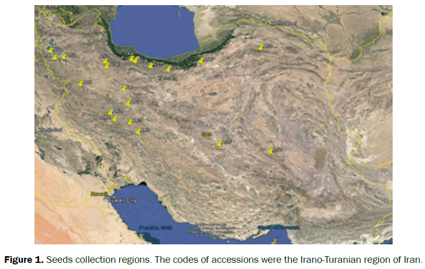 biology-seeds-collection-regions