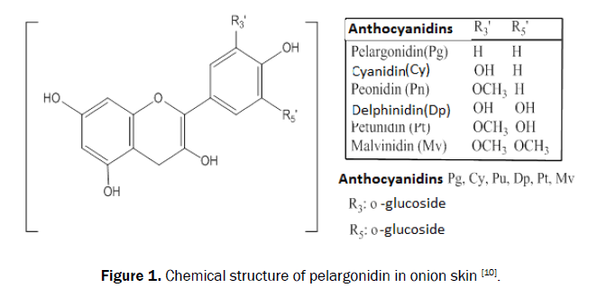 biology-structure