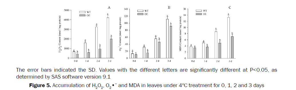 botanical-sciences-Accumulation-MDA-leaves