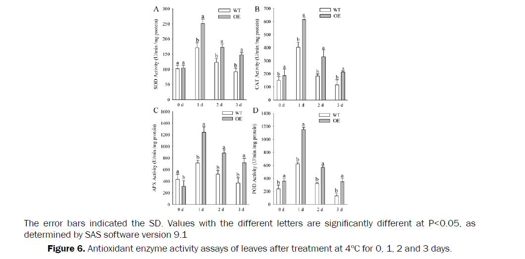 botanical-sciences-Antioxidant-enzyme-activity