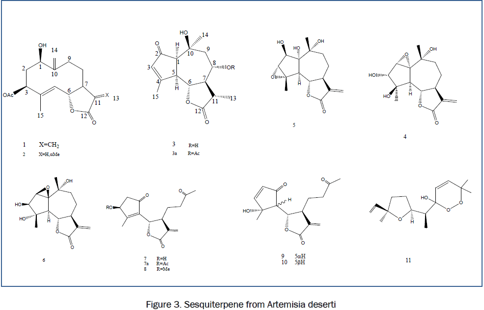 botanical-sciences-Artemisia-deserti