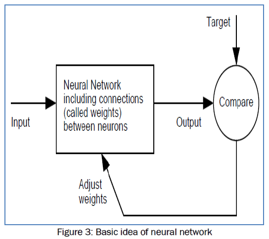 botanical-sciences-Basic-idea