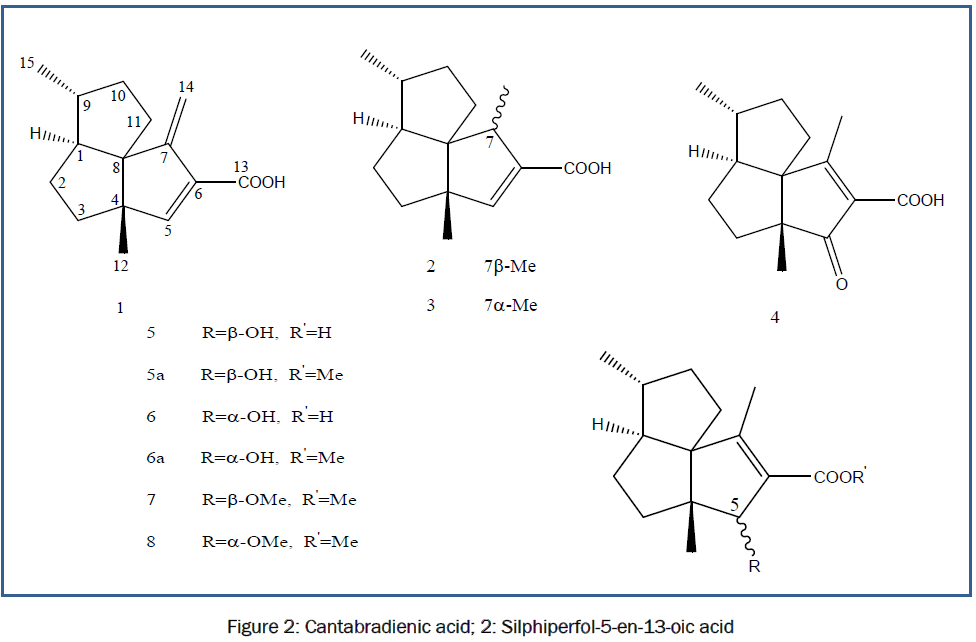 botanical-sciences-Cantabradienic