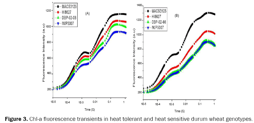 botanical-sciences-Chl-a-fluorescence-transients