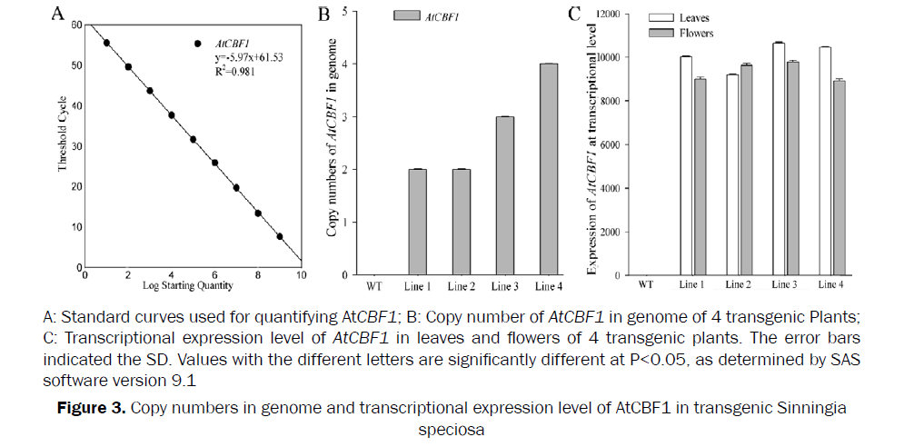 botanical-sciences-Copy-numbers-genome