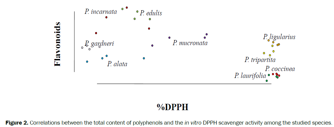 botanical-sciences-DPPH-scavenger-activity