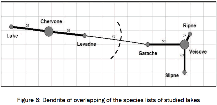 botanical-sciences-Dendrite-overlapping-species