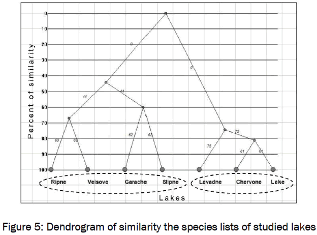 botanical-sciences-Dendrogram-similarity-species